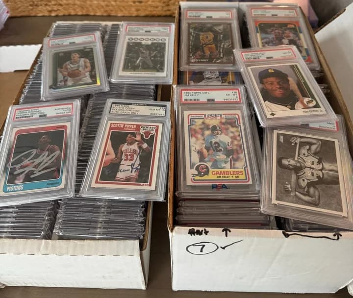 Boxes of graded sports cards with Dennis Rodman and Scottie Pippen autographs and other stars on top